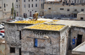Fez, Medina, a b�rm�vesek negyede [134578]
