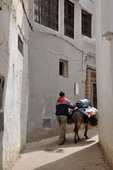 Moulay Idriss [134590]